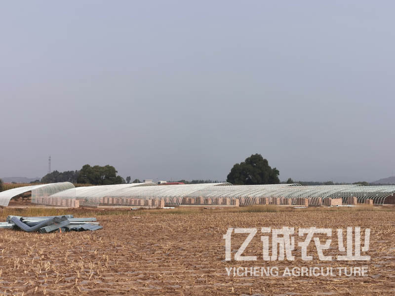一畝溫室大棚造價多少錢？溫室建設成本
