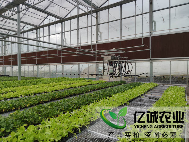 現(xiàn)代化智能溫室大棚如何建造？智能化連棟溫室大棚多少錢(qián)一個(gè)平方？