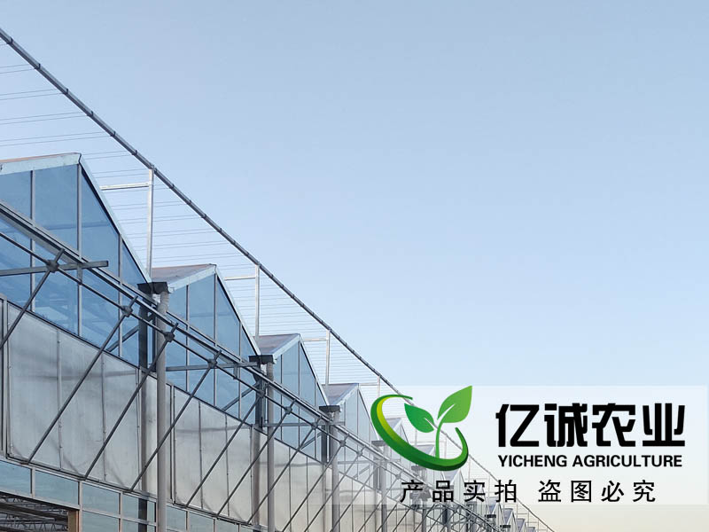 玻璃溫室每平方米報(bào)價(jià)多少？現(xiàn)代化智能溫室大棚造價(jià)？