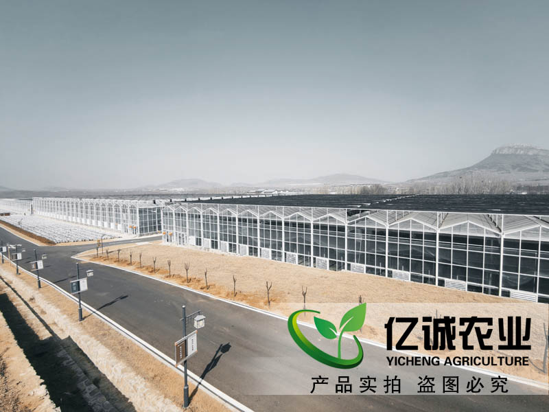 連棟溫室大棚水槽內為什么會積水？億誠教您這樣做